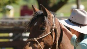 Kate training a horse