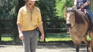 Emotional Horsemanship Clinic