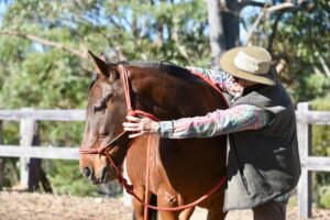 Learning to listen to the horse