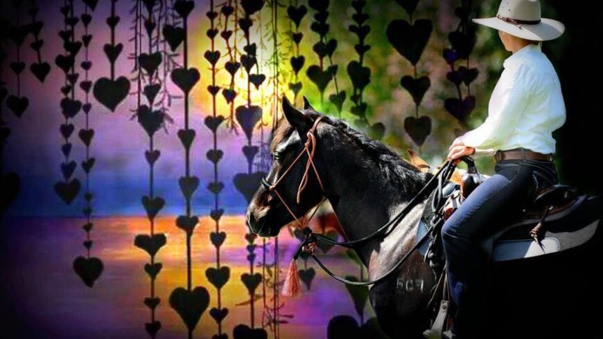 Finding Your New Equine Partner: A horse buyers guide